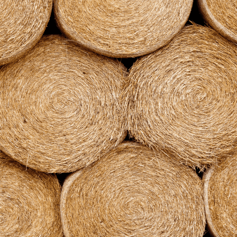Bales For Sale
