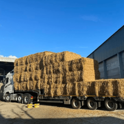 Oat Straw